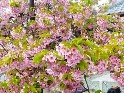 市軸稲荷神社(大阪府)