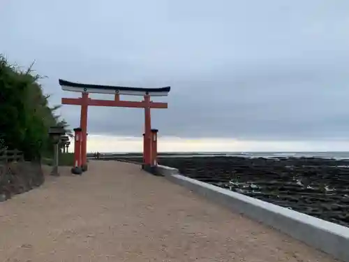 青島神社（青島神宮）の鳥居