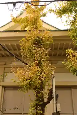 矢先稲荷神社(東京都)