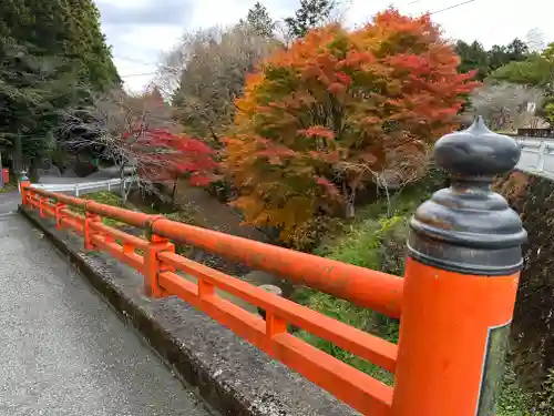 須山浅間神社(静岡県)