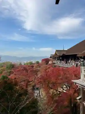 清水寺(京都府)