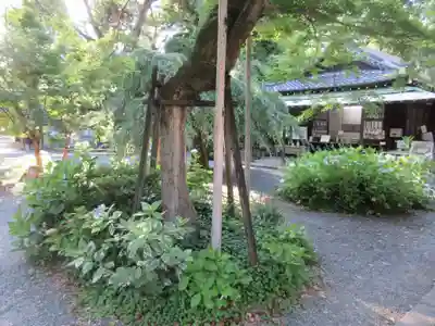 水無瀬神宮(大阪府)