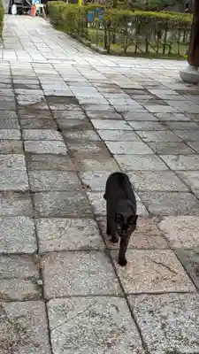頂妙寺(京都府)