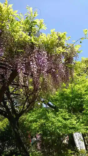 與止日女神社の自然