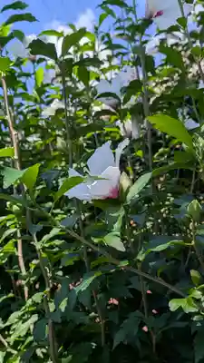 西林寺(京都府)