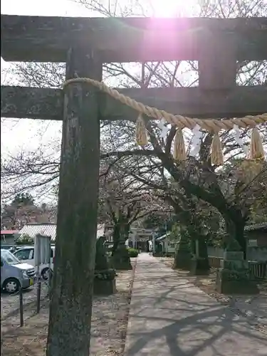 前玉神社の鳥居