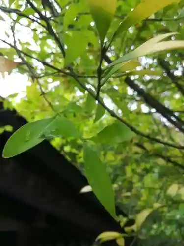 熊野神社の景色