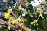 三津厳島神社(愛媛県)
