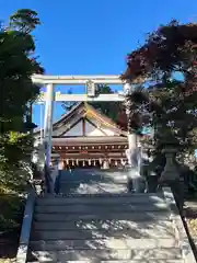 八幡宮(茨城県)