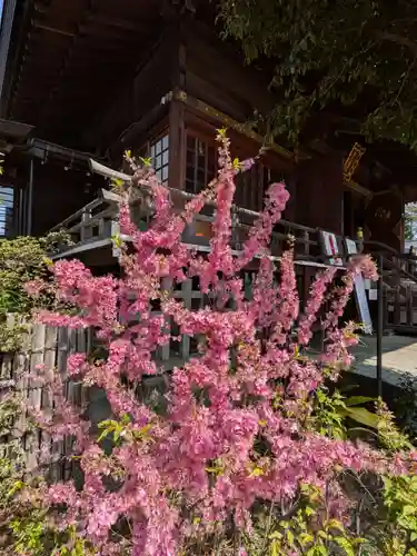 鷺宮八幡神社(東京都)