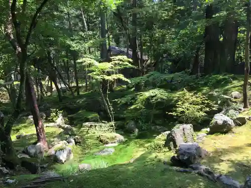 西芳寺の庭園