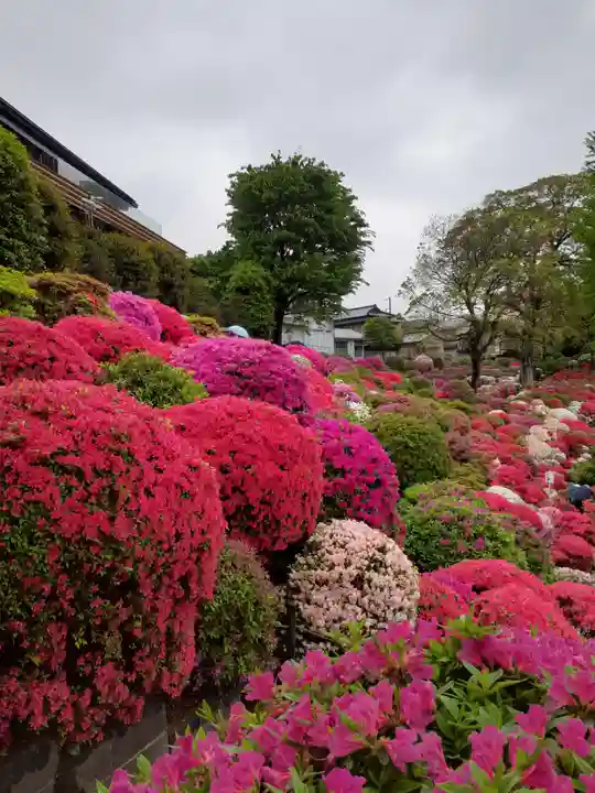 根津神社の庭園