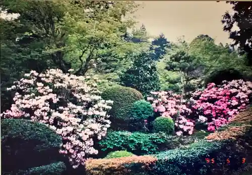 三千院門跡の庭園