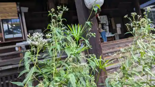 行願寺（革堂）(京都府)