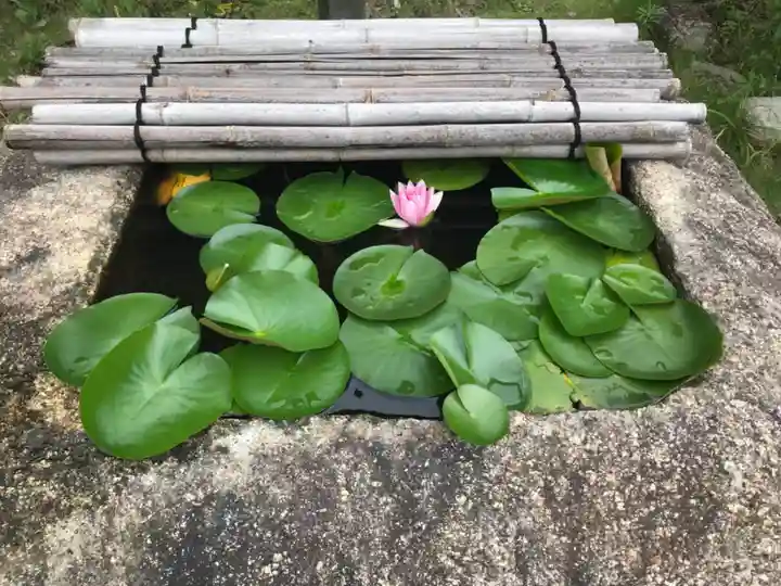 高野山東京別院の自然
