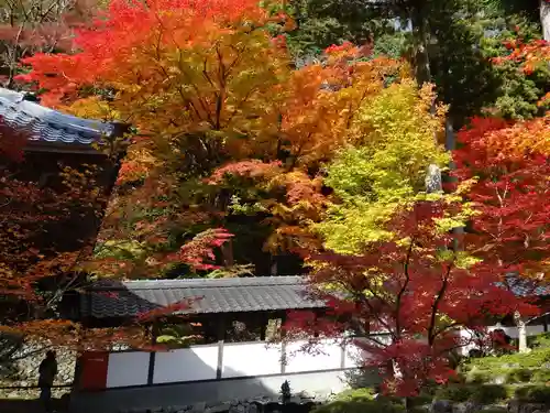 永源寺の庭園