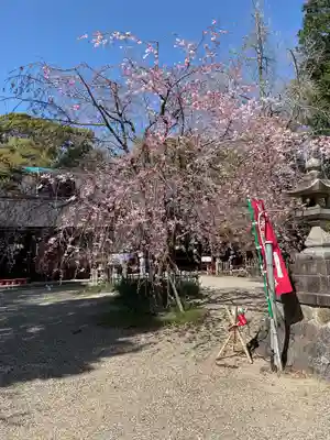 富部神社(愛知県)