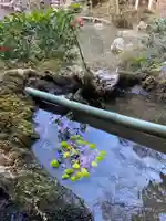 毘沙門堂門跡の手水舎