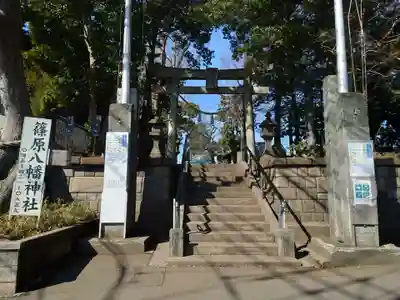 篠原八幡神社(神奈川県)