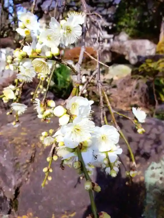 松應寺(東京都)
