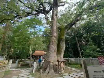 伊弉諾神宮(兵庫県)