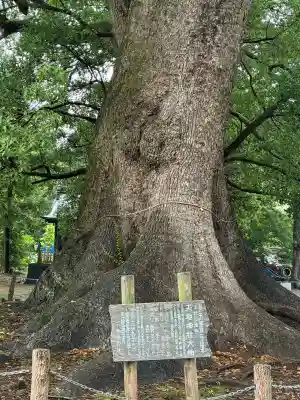 天地神社(静岡県)