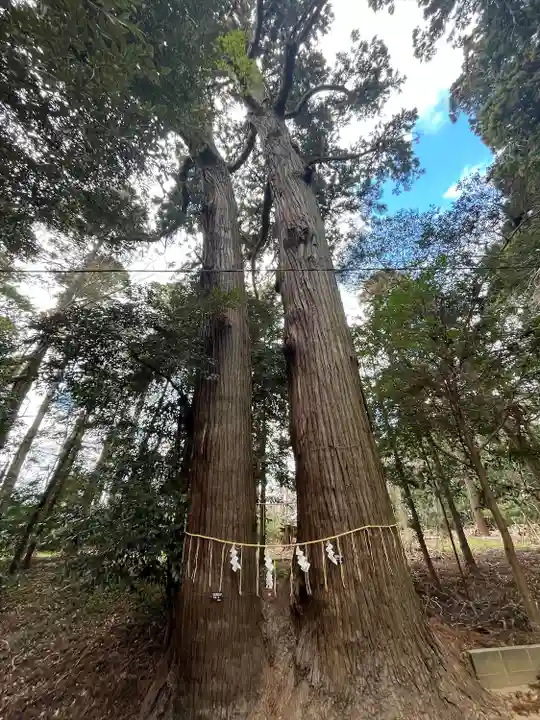 日吉神社(千葉県)