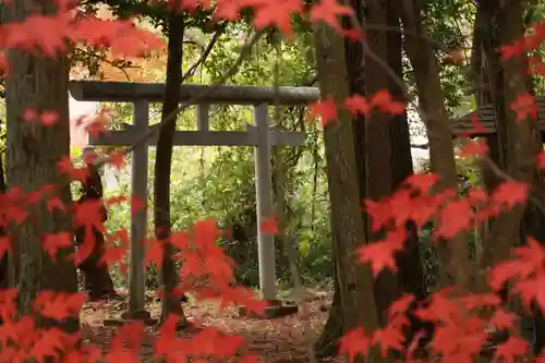 大将軍社(滋賀県)