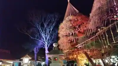 金蛇水神社(宮城県)
