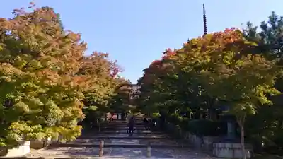 真正極楽寺(真如堂)のその他建物