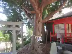 玉前神社(千葉県)