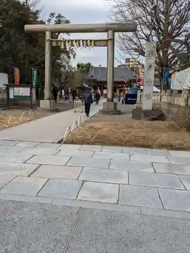 浅草神社の鳥居