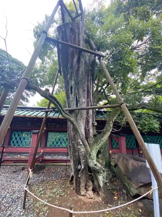 上野東照宮(東京都)
