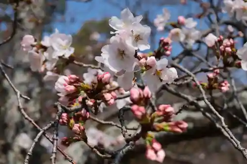 三津厳島神社(愛媛県)
