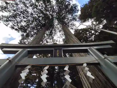 九頭龍神社(東京都)
