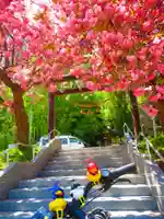 藻岩神社(北海道)