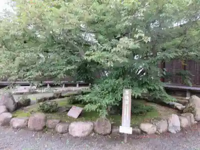 百済寺(滋賀県)