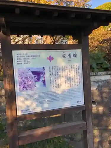 安養院　(田代寺）の歴史