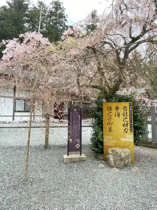 小國神社の{uncategorized: "未分類", other: "その他", undefined: "問題あり", building: "その他建物", grave: "お墓", sacred_gate: "鳥居", guardian: "狛犬", statue: "像", buddha: "仏像", history: "歴史", nature: "自然", garden: "庭園", animal: "動物", pagoda: "塔", temizu: "手水舎", mountain_gate: "山門・神門", sanctuary: "本殿・本堂", subordinate: "末社・摂社", art: "芸術", scenery: "景色", jizo: "地蔵", ema: "絵馬", goshuin: "御朱印", omikuji: "おみくじ", items: "授与品その他", amulet: "お守り", goshuincho: "御朱印帳", eats: "食事", festival: "お祭り", votive_dance: "神楽", shichigosan: "七五三参", wedding: "結婚式", experience: "体験その他", initially: "初詣", around: "周辺", anti_infection: "感染症対策"}