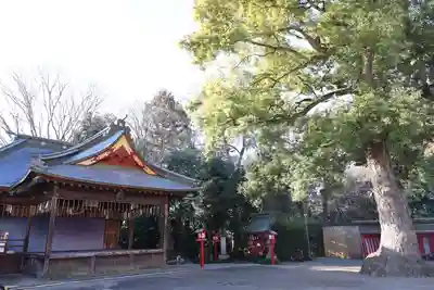 鷲宮神社(埼玉県)