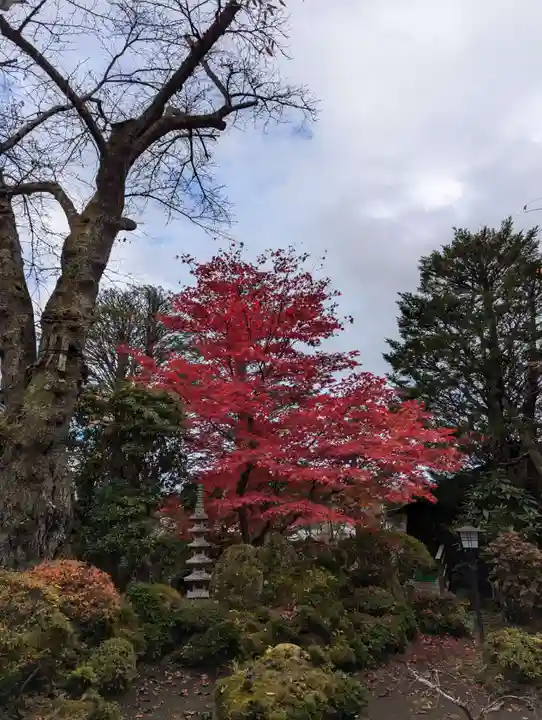 東円寺(山梨県)