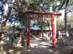 男神社の鳥居