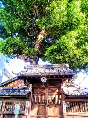 秋葉社（辻の秋葉社）の本殿・本堂