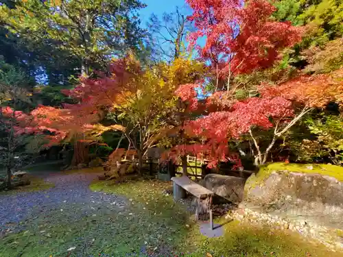五所駒瀧神社(茨城県)