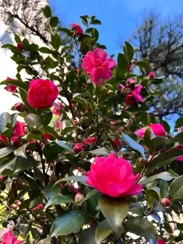 西光寺(長野県)