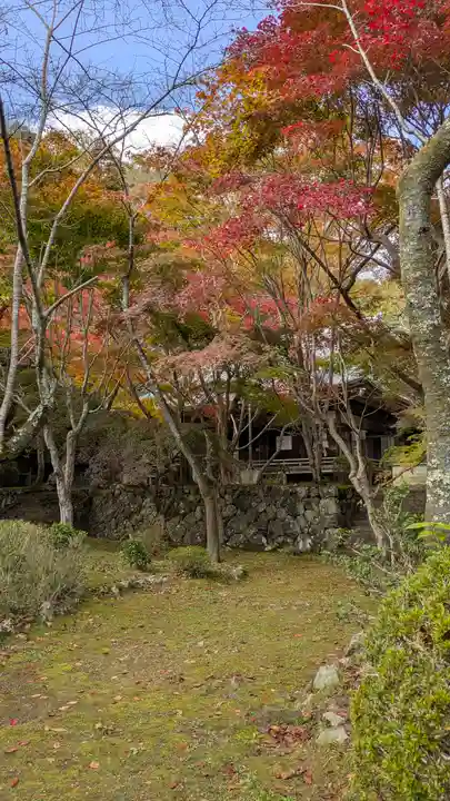 勝持寺(花の寺)(京都府)