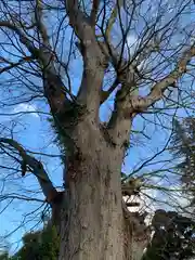 素鵞神社(茨城県)