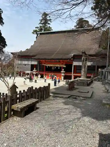 英彦山神宮(福岡県)