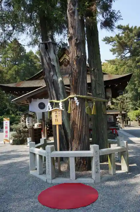 建部大社(滋賀県)