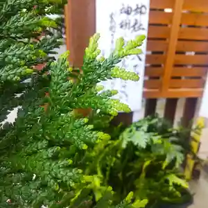 七重浜海津見神社(北海道)(2025年05月09日(金) 08時11分09秒投稿)